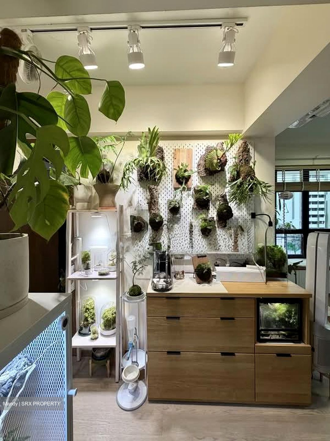 Blk 114B Alkaff Oasis (Toa Payoh), HDB 3 Rooms #560924421